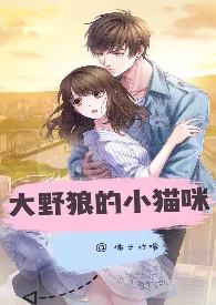 大野狼的小猫咪H