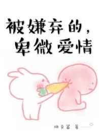 被嫌弃的,卑微爱情完结+番外