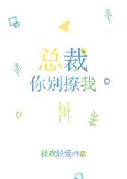 总裁,你别撩我完结+番外