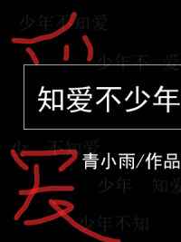 知爱不少年完结+番外