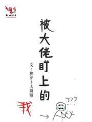 被大佬盯上的我完结+番外