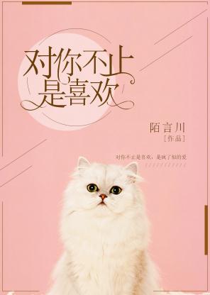 对你不止是喜欢