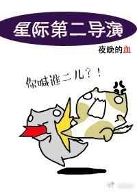 星际第二导演完结+番外