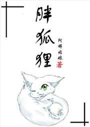 胖狐狸番外完结