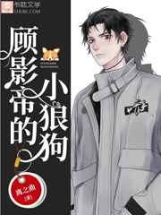 顾影帝的小狼狗完结+番外