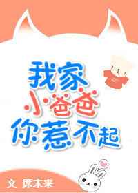 我家小爸爸你惹不起完结+番外