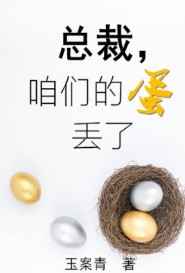 总裁,咱们的蛋丢了完结+番外