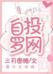自投罗网完结+番外