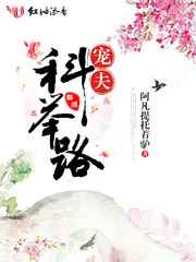 宠夫科举路完结+番外