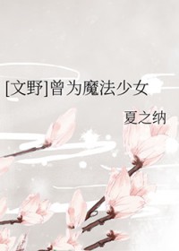 [文野同人]曾为魔法少女